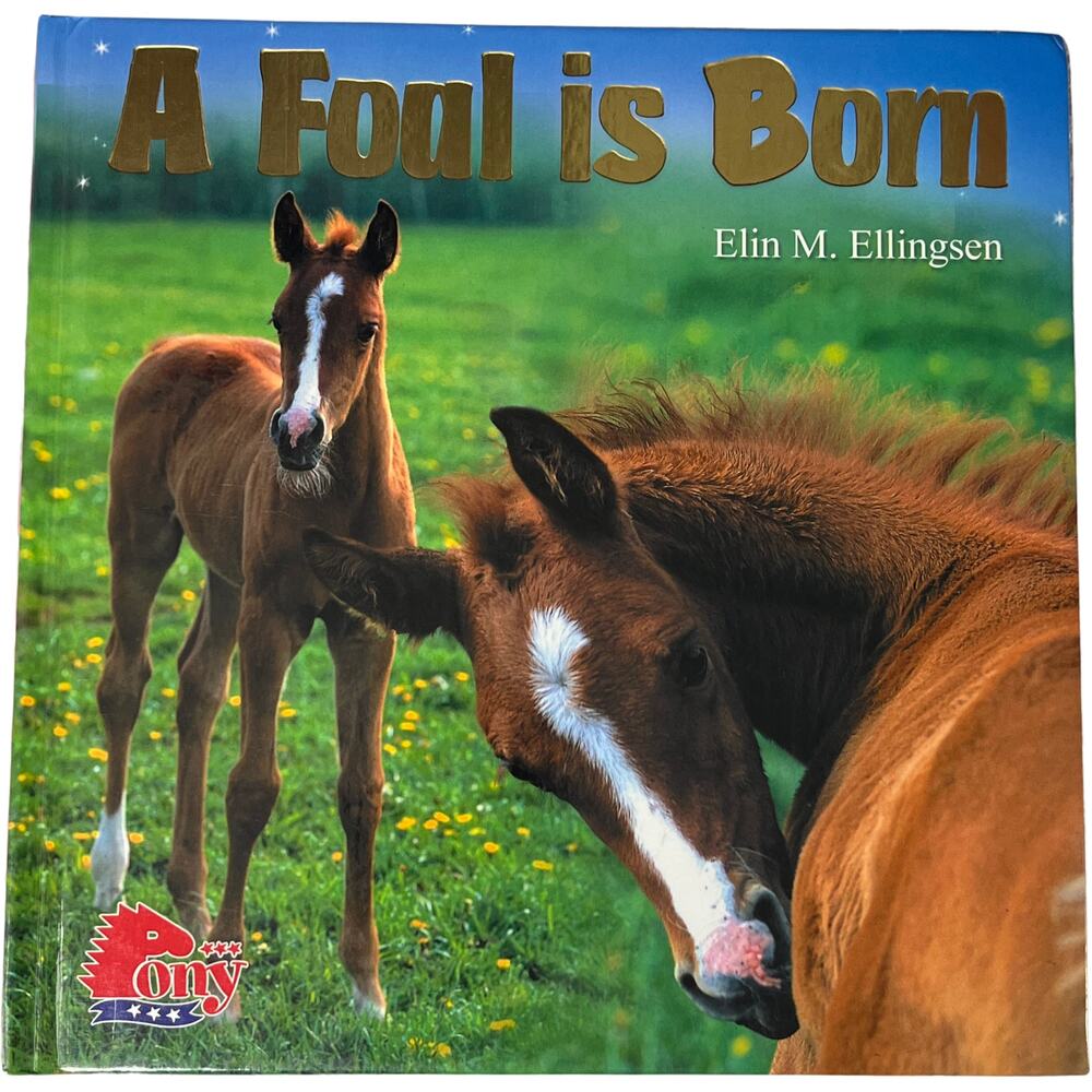 A Foal Is Born Elin M Ellingsen Hardcover Pony Series Arabian Horse Book
